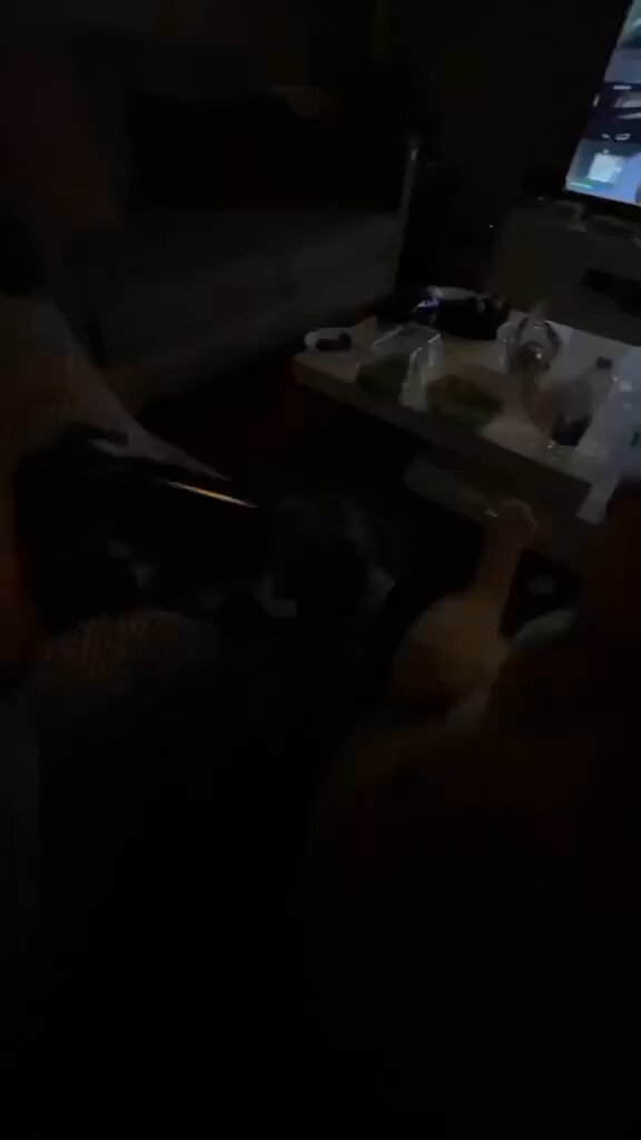 Punch Cat - https://t.co/0X4lWdTKV0