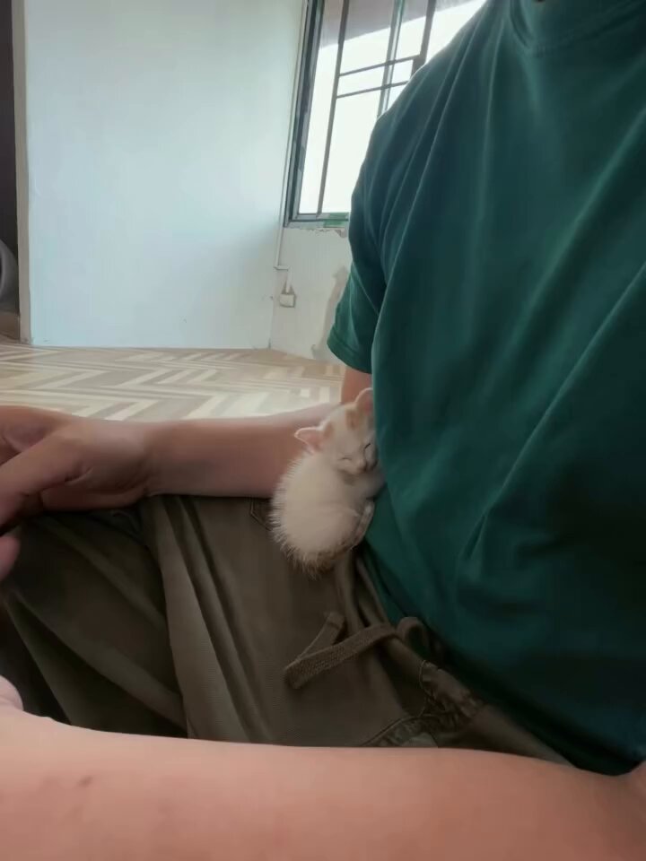 CAT LOVERS - https://t.co/luKMXNY3ur