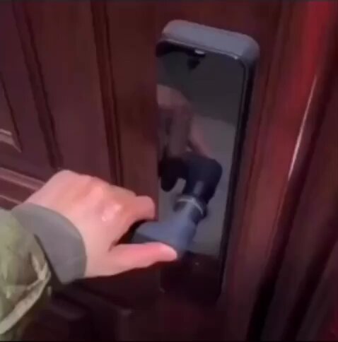 Punch Cat - https://t.co/XXBlbXwI0N